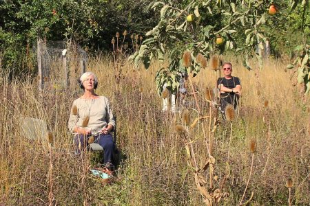 52311544327_d8497ae923_c